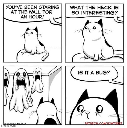 What cats really see | image tagged in comics,comics/cartoons,funny,cat | made w/ Imgflip meme maker