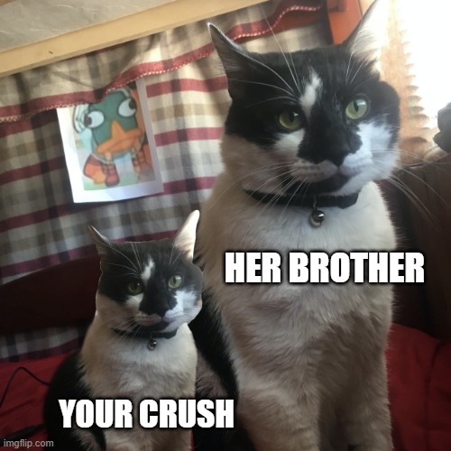 Big Cat Small Cat | HER BROTHER; YOUR CRUSH | image tagged in big cat small cat | made w/ Imgflip meme maker