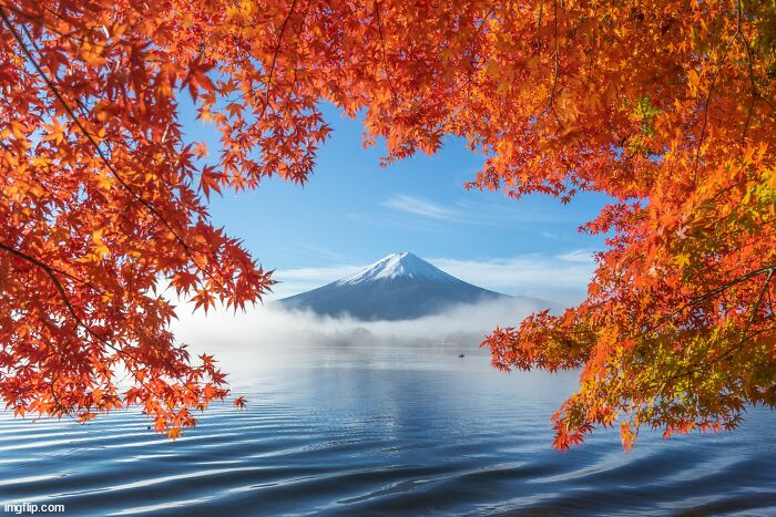 image tagged in awesome | made w/ Imgflip meme maker