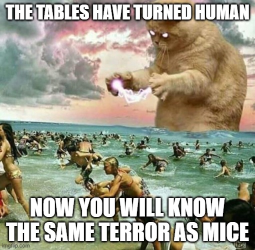 Giant Cat on beach | THE TABLES HAVE TURNED HUMAN; NOW YOU WILL KNOW THE SAME TERROR AS MICE | image tagged in giant cat on beach | made w/ Imgflip meme maker