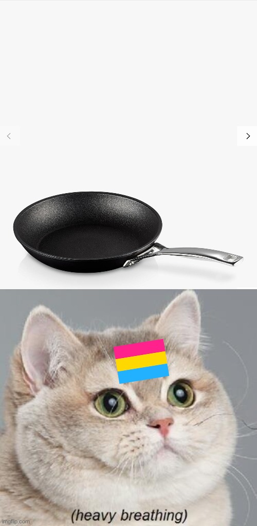 image tagged in frying pan,memes,heavy breathing cat | made w/ Imgflip meme maker
