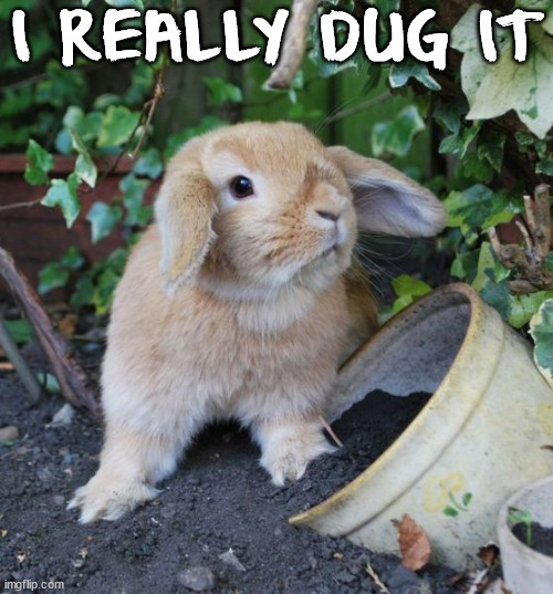 I REALLY DUG IT | image tagged in bunnies | made w/ Imgflip meme maker