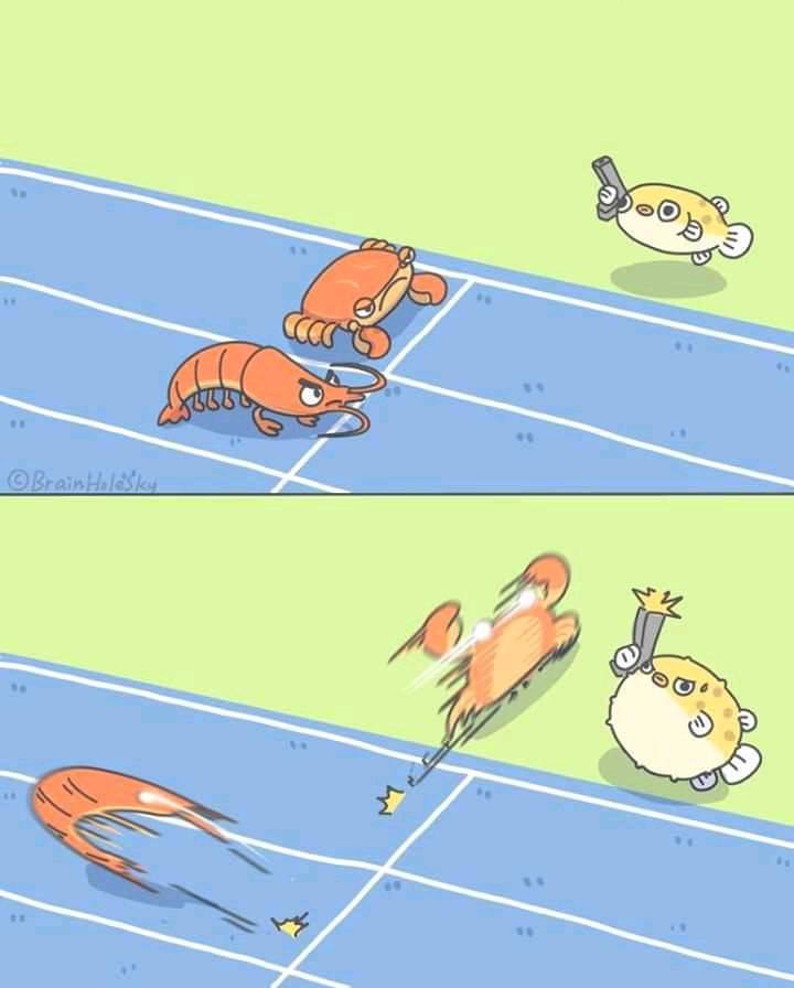 crab lobster racing Blank Meme Template