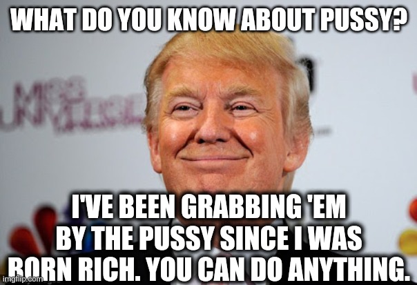 Donald trump approves | WHAT DO YOU KNOW ABOUT PUSSY? I'VE BEEN GRABBING 'EM BY THE PUSSY SINCE I WAS BORN RICH. YOU CAN DO ANYTHING. | image tagged in donald trump approves | made w/ Imgflip meme maker