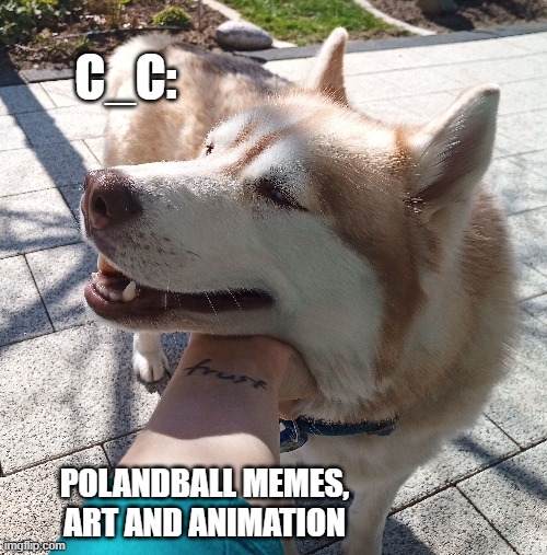 good winter doggo | C_C:; POLANDBALL MEMES, ART AND ANIMATION | image tagged in doggo | made w/ Imgflip meme maker