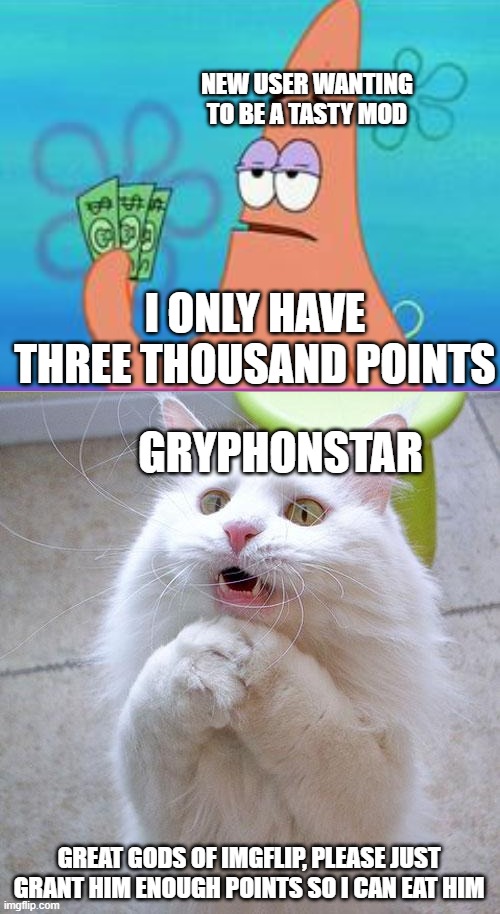 Begging Cat | NEW USER WANTING TO BE A TASTY MOD; I ONLY HAVE THREE THOUSAND POINTS; GRYPHONSTAR; GREAT GODS OF IMGFLIP, PLEASE JUST GRANT HIM ENOUGH POINTS SO I CAN EAT HIM | image tagged in begging cat | made w/ Imgflip meme maker