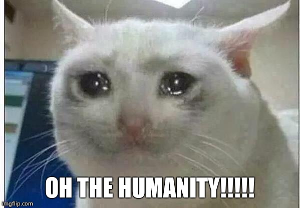 crying cat | OH THE HUMANITY!!!!! | image tagged in crying cat | made w/ Imgflip meme maker