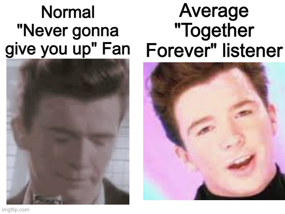 Blank White Template | Average "Together Forever" listener; Normal "Never gonna give you up" Fan | image tagged in blank white template | made w/ Imgflip meme maker