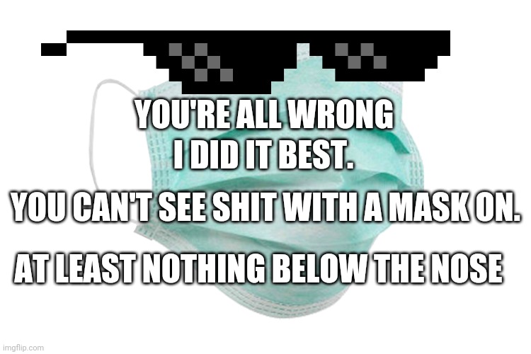 Face mask | YOU'RE ALL WRONG I DID IT BEST. YOU CAN'T SEE SHIT WITH A MASK ON. AT LEAST NOTHING BELOW THE NOSE | image tagged in face mask | made w/ Imgflip meme maker