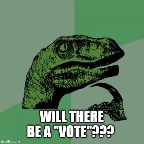 Get it since we have an upvote and a downvote | WILL THERE BE A "VOTE"??? | image tagged in memes,philosoraptor | made w/ Imgflip meme maker