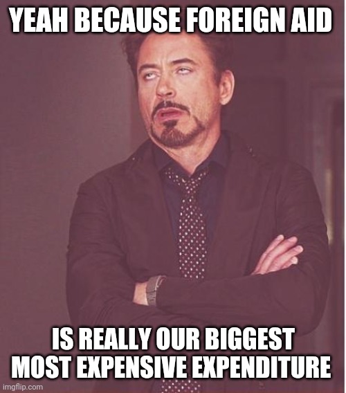 Face You Make Robert Downey Jr Meme | YEAH BECAUSE FOREIGN AID IS REALLY OUR BIGGEST MOST EXPENSIVE EXPENDITURE | image tagged in memes,face you make robert downey jr | made w/ Imgflip meme maker