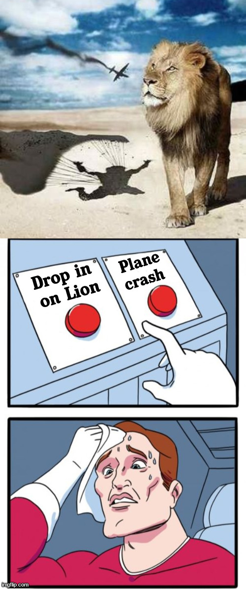 Hard choices. | Plane crash; Drop in 
on Lion | image tagged in memes,two buttons | made w/ Imgflip meme maker
