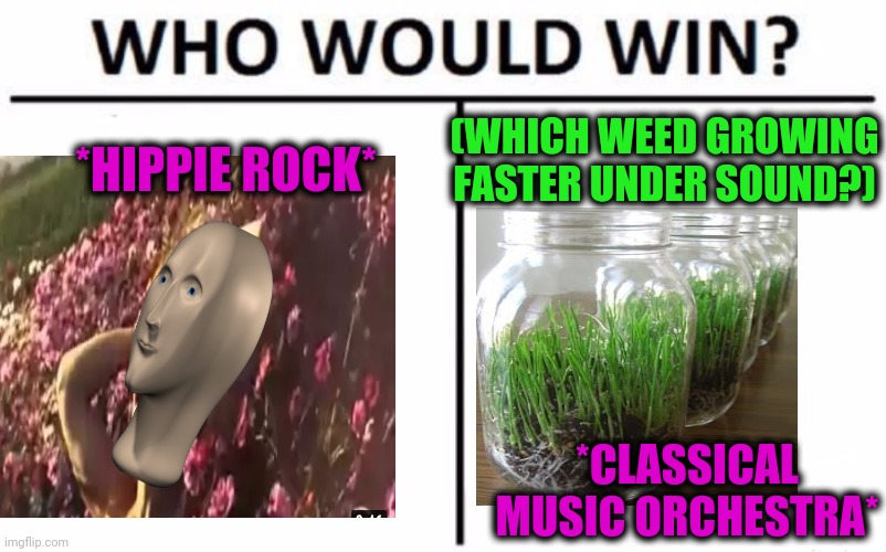 -Wave for slave. | (WHICH WEED GROWING FASTER UNDER SOUND?); *HIPPIE ROCK*; *CLASSICAL MUSIC ORCHESTRA* | image tagged in memes,who would win,heroin,war on drugs,spring daisy flowers,weed man | made w/ Imgflip meme maker