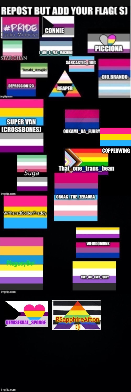 COPPERWING | made w/ Imgflip meme maker