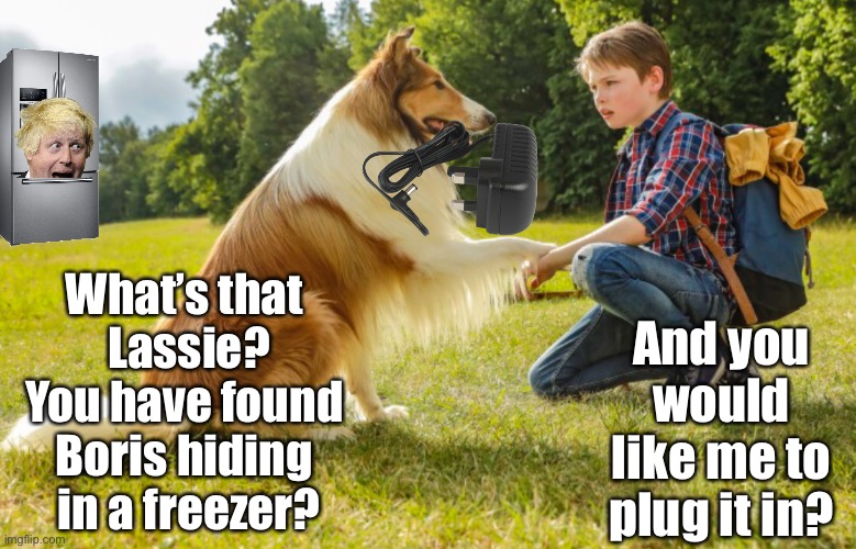 Freezer | And you would like me to plug it in? What’s that 
Lassie?
You have found 
Boris hiding 
in a freezer? | image tagged in freezer | made w/ Imgflip meme maker