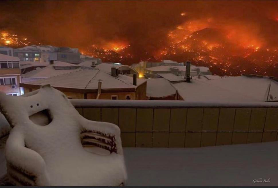 Nothing to lose Blank Meme Template