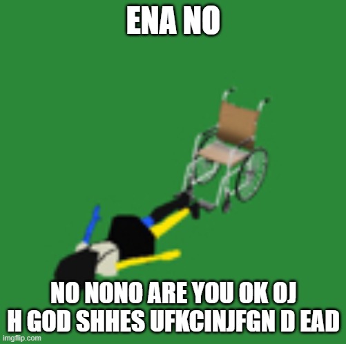 NOOOOOOOOOOOO | ENA NO; NO NONO ARE YOU OK OJ H GOD SHHES UFKCINJFGN D EAD | image tagged in ena,aaahhhhh | made w/ Imgflip meme maker