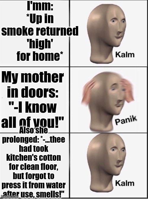 -Starting career how hasher. | I'mm: *Up in smoke returned 'high' for home*; My mother in doors: "-I know all of you!"; Also she prolonged: *-...thee had took kitchen's cotton for clean floor, but forgot to press it from water after use, smells!" | image tagged in reverse kalm panik,smoke weed everyday,mother nature,all knowing hexagon,too damn high,so glad i grew up doing this | made w/ Imgflip meme maker