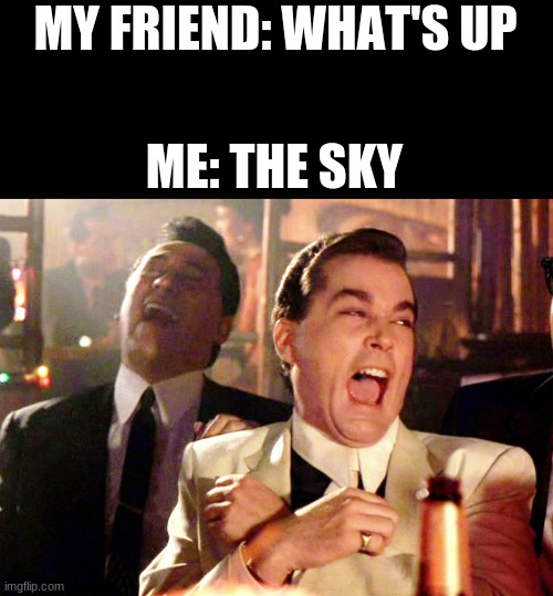 Good Fellas Hilarious | MY FRIEND: WHAT'S UP; ME: THE SKY | image tagged in memes,good fellas hilarious | made w/ Imgflip meme maker