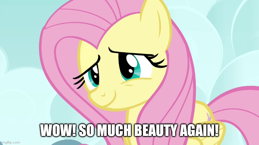 WOW! SO MUCH BEAUTY AGAIN! | made w/ Imgflip meme maker