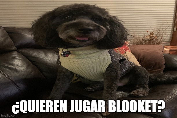 ¿QUIEREN JUGAR BLOOKET? | made w/ Imgflip meme maker