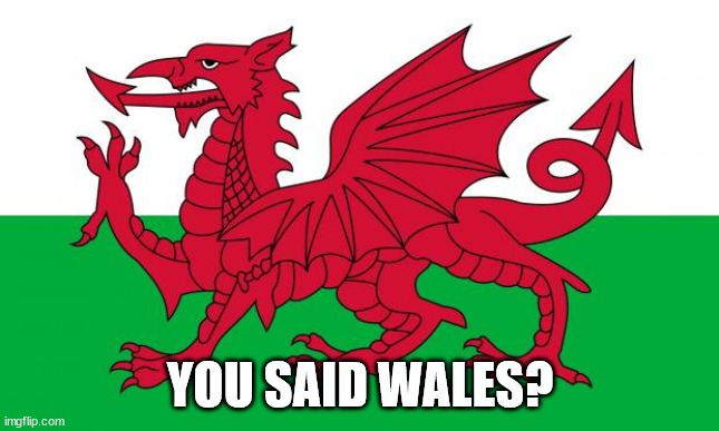 Wales | YOU SAID WALES? | image tagged in wales | made w/ Imgflip meme maker