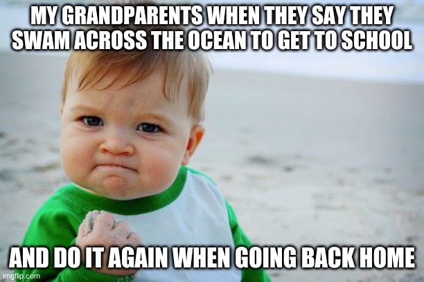 like no yoou didnt | MY GRANDPARENTS WHEN THEY SAY THEY SWAM ACROSS THE OCEAN TO GET TO SCHOOL; AND DO IT AGAIN WHEN GOING BACK HOME | image tagged in memes,success kid original | made w/ Imgflip meme maker