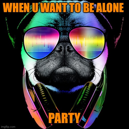 Pug lol funny | WHEN U WANT TO BE ALONE; PARTY | image tagged in pug meme | made w/ Imgflip meme maker