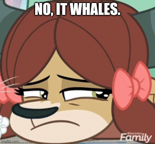 NO, IT WHALES. | made w/ Imgflip meme maker