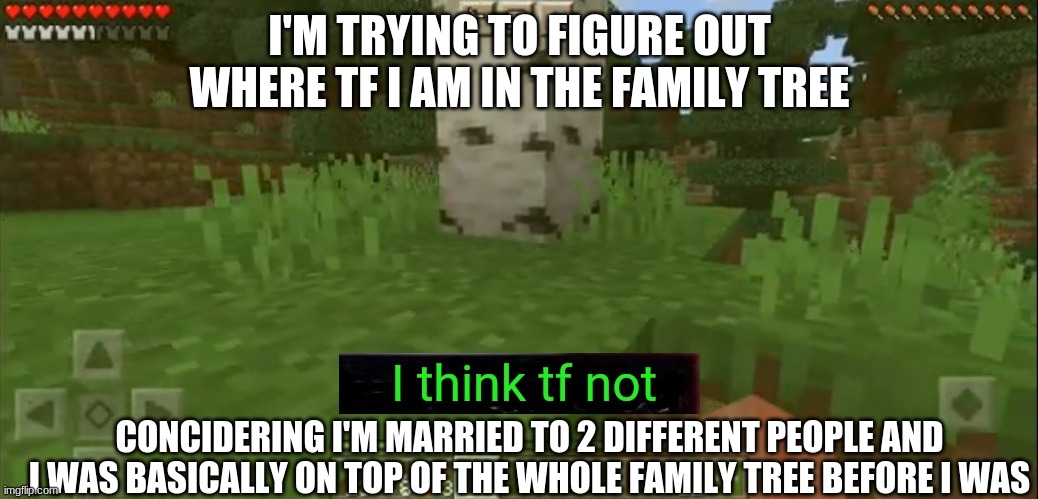I think tf not | I'M TRYING TO FIGURE OUT WHERE TF I AM IN THE FAMILY TREE; CONCIDERING I'M MARRIED TO 2 DIFFERENT PEOPLE AND I WAS BASICALLY ON TOP OF THE WHOLE FAMILY TREE BEFORE I WAS | image tagged in i think tf not | made w/ Imgflip meme maker