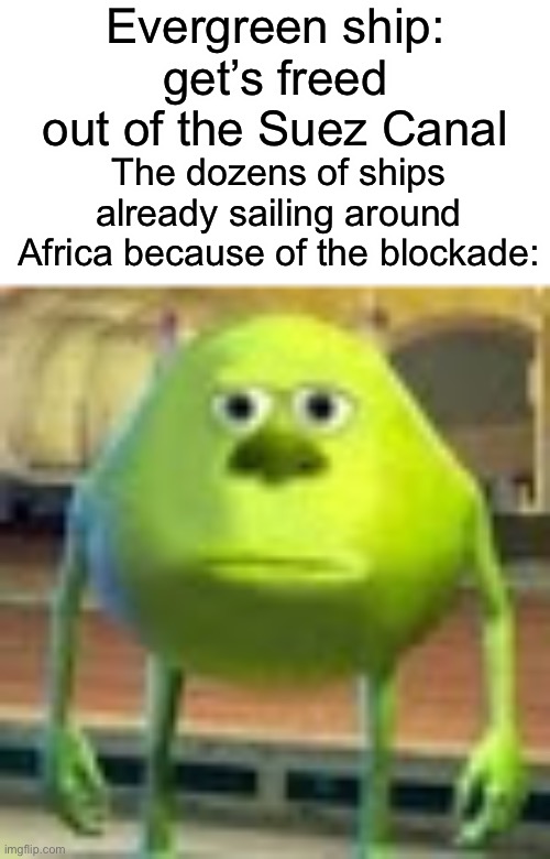 Yo boys the suez canal got freed | Evergreen ship: get’s freed out of the Suez Canal; The dozens of ships already sailing around Africa because of the blockade: | image tagged in sully wazowski,memes,suez canal,suez canal blockade,mike wazowski,dank memes | made w/ Imgflip meme maker