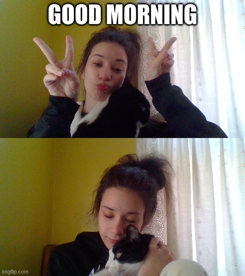 GOOD MORNING | image tagged in cat | made w/ Imgflip meme maker