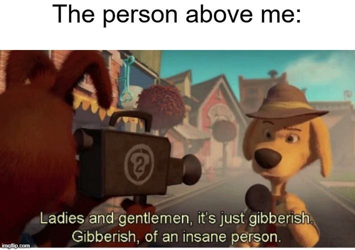 They are very insane | The person above me: | image tagged in ladies and gentlemen its just gibberish,above | made w/ Imgflip meme maker