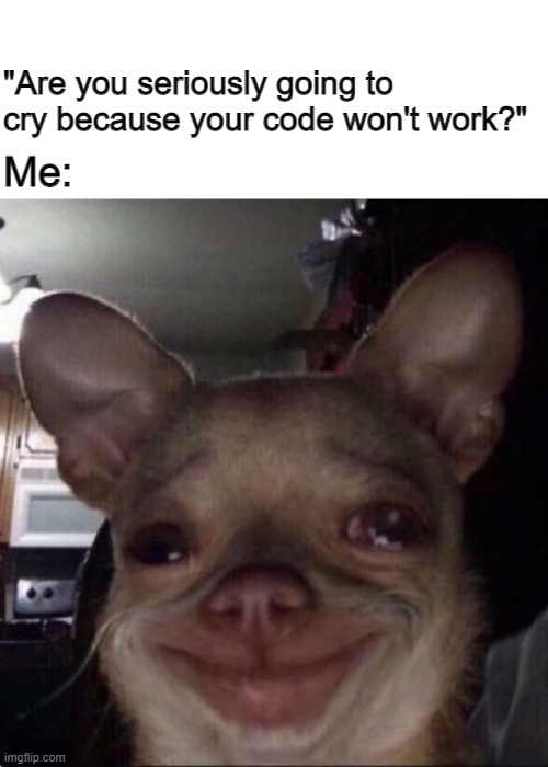 The web design class I'm in is fun but sometimes BOY it's friggin' stressful | "Are you seriously going to cry because your code won't work?"; Me: | image tagged in meme,cry,web design | made w/ Imgflip meme maker