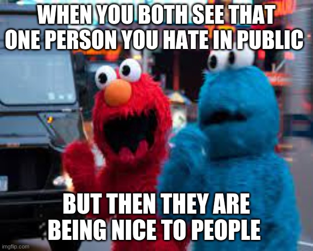 elmo and cookie monster | WHEN YOU BOTH SEE THAT ONE PERSON YOU HATE IN PUBLIC; BUT THEN THEY ARE BEING NICE TO PEOPLE | image tagged in cookie monster | made w/ Imgflip meme maker