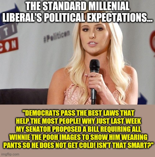 Perhaps if we have better educated voters, political hacks won't win elections? Nahh forget I mentioned it. | THE STANDARD MILLENIAL LIBERAL'S POLITICAL EXPECTATIONS... "DEMOCRATS PASS THE BEST LAWS THAT HELP THE MOST PEOPLE! WHY JUST LAST WEEK MY SENATOR PROPOSED A BILL REQUIRING ALL WINNIE THE POOH IMAGES TO SHOW HIM WEARING PANTS SO HE DOES NOT GET COLD! ISN'T THAT SMART?" | image tagged in dumb blonde,political correctness,college liberal | made w/ Imgflip meme maker