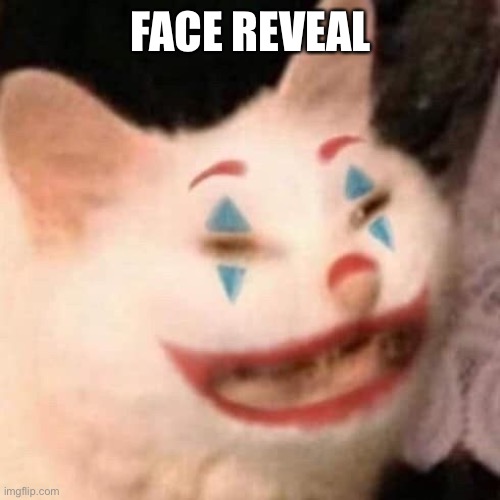 FACE REVEAL | made w/ Imgflip meme maker