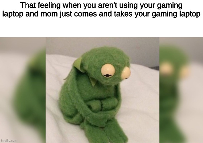 Why the heck- WHY DID YOU JUST TAKE IT | That feeling when you aren't using your gaming laptop and mom just comes and takes your gaming laptop | image tagged in depressed kermit | made w/ Imgflip meme maker