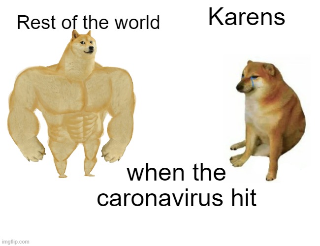 Buff Doge vs. Cheems Meme | Rest of the world; Karens; when the caronavirus hit | image tagged in memes,buff doge vs cheems | made w/ Imgflip meme maker