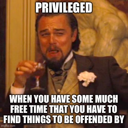 Laughing Leo Meme | PRIVILEGED WHEN YOU HAVE SOME MUCH FREE TIME THAT YOU HAVE TO FIND THINGS TO BE OFFENDED BY | image tagged in memes,laughing leo | made w/ Imgflip meme maker