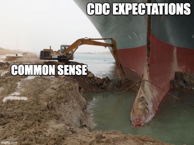 Ever Given Suez | CDC EXPECTATIONS; COMMON SENSE | image tagged in ever given suez | made w/ Imgflip meme maker