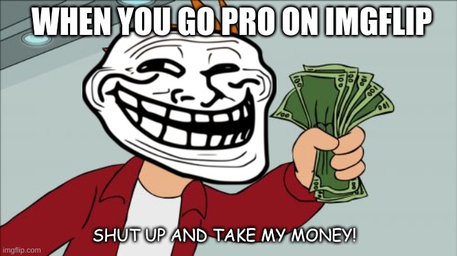 moneyyyyy | WHEN YOU GO PRO ON IMGFLIP; SHUT UP AND TAKE MY MONEY! | image tagged in memes,shut up and take my money fry | made w/ Imgflip meme maker