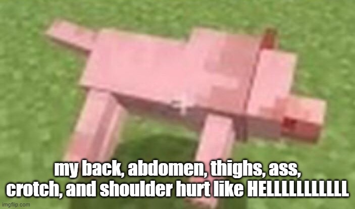 i know no one asked | my back, abdomen, thighs, ass, crotch, and shoulder hurt like HELLLLLLLLLLL | image tagged in minecraft dog dying | made w/ Imgflip meme maker