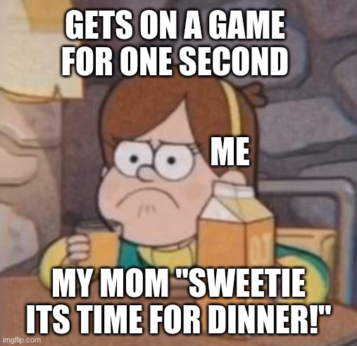 -_- why doe? | GETS ON A GAME FOR ONE SECOND; ME; MY MOM "SWEETIE ITS TIME FOR DINNER!" | image tagged in why | made w/ Imgflip meme maker