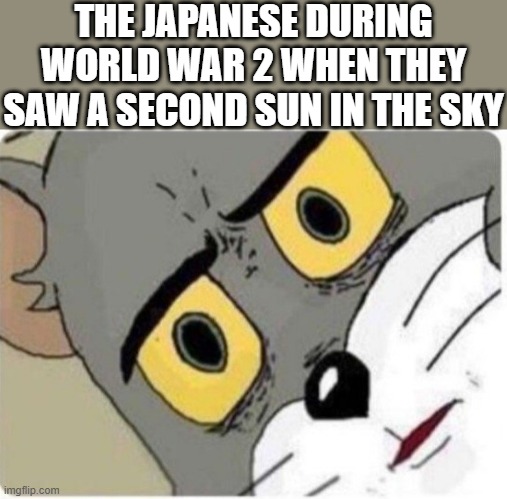 Tom and Jerry meme | THE JAPANESE DURING WORLD WAR 2 WHEN THEY SAW A SECOND SUN IN THE SKY | image tagged in tom and jerry meme,i'm 15 so don't try it,who reads these | made w/ Imgflip meme maker
