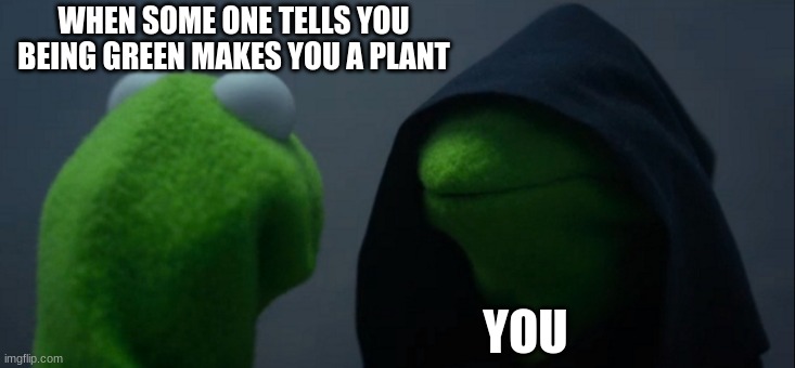 Evil Kermit Meme | WHEN SOME ONE TELLS YOU BEING GREEN MAKES YOU A PLANT; YOU | image tagged in memes,evil kermit | made w/ Imgflip meme maker