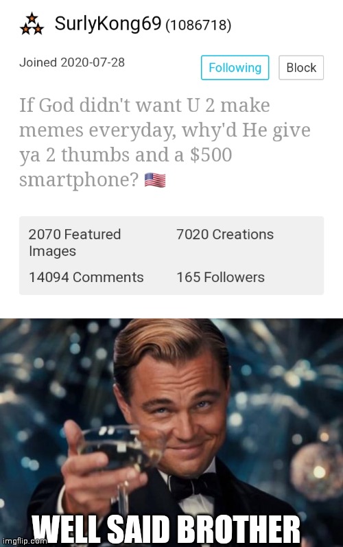 Well Said SurlyKong69!! | WELL SAID BROTHER | image tagged in memes,leonardo dicaprio cheers,surlykong69,funny memes | made w/ Imgflip meme maker