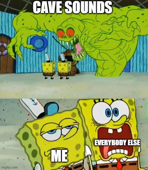 I'm used to it | CAVE SOUNDS; EVERYBODY ELSE; ME | image tagged in 2 spongebobs monster | made w/ Imgflip meme maker