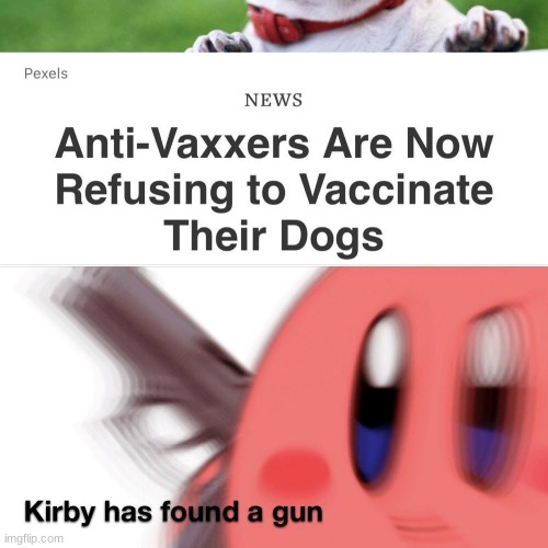 image tagged in kirby has found a gun | made w/ Imgflip meme maker