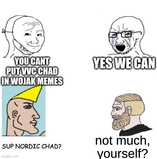 meeting of two memes | YOU CANT PUT VVC CHAD IN WOJAK MEMES; YES WE CAN; not much, yourself? SUP NORDIC CHAD? | image tagged in chad we know,virgin vs chad | made w/ Imgflip meme maker